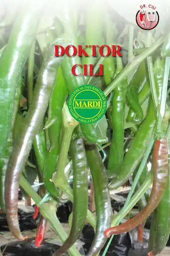 Play MARDI DoktorCili  and enjoy MARDI DoktorCili with UptoPlay