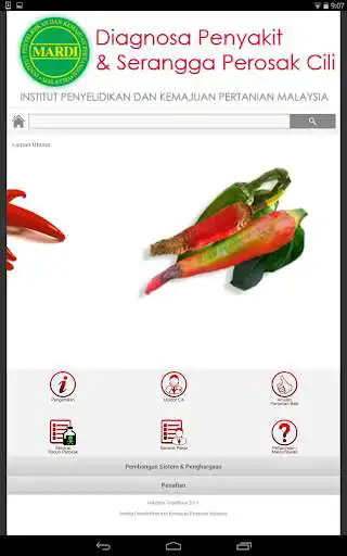 Play MARDI DoktorCili as an online game MARDI DoktorCili with UptoPlay