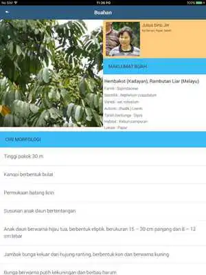 Play MARDI MyOnFarmFruits Play MARDI MyOnFarmFruits