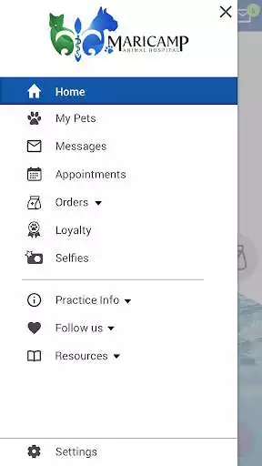 Play Maricamp Animal Hospital as an online game Maricamp Animal Hospital with UptoPlay