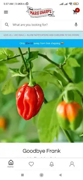 Play Marie Sharps Hot Sauce and enjoy Marie Sharps Hot Sauce with UptoPlay Play Marie Sharps Hot Sauce and enjoy Marie Sharps Hot Sauce with UptoPlay