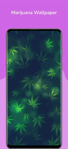 Play Marijuana Wallpaper and enjoy Marijuana Wallpaper with UptoPlay Play Marijuana Wallpaper and enjoy Marijuana Wallpaper with UptoPlay