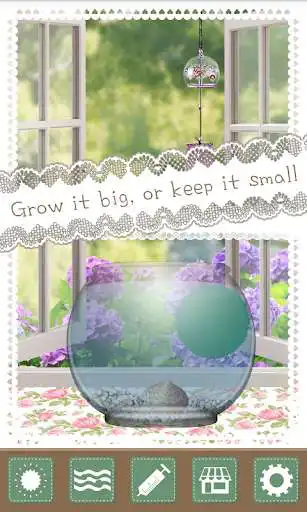 Play Marimo Virtual Pet as an online game Marimo Virtual Pet with UptoPlay