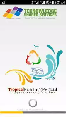 Play Marine Fish Collection