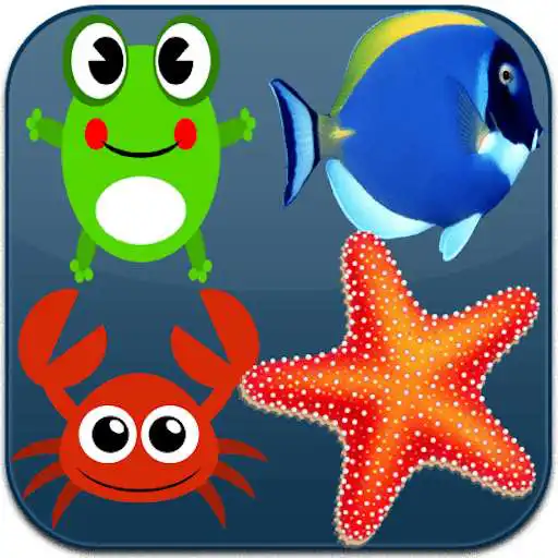 Free play online Marine Link  APK