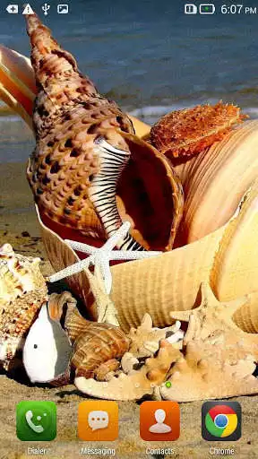 Play Marine Treasures Wallpapers