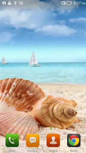 Play Marine Treasures Wallpapers