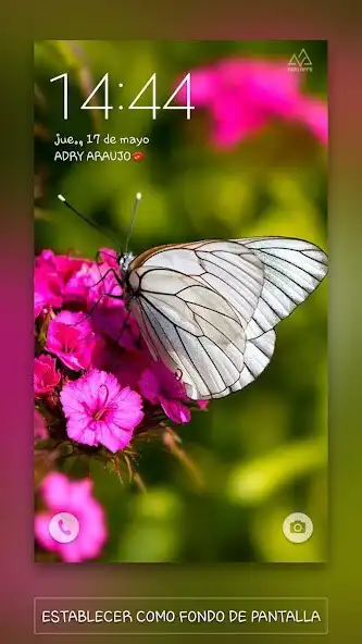 Play Mariposas y fondos de pantalla as an online game Mariposas y fondos de pantalla with UptoPlay