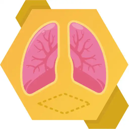 Play MARRS - AR Sistem Pernapasan APK