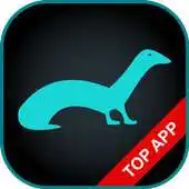 Free play online Marten Repellent Simulation APK