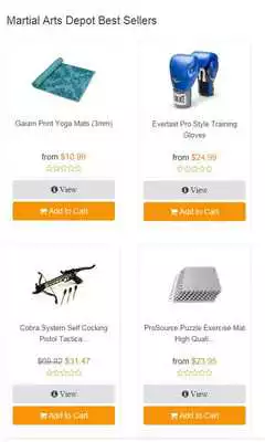 Play Martial-Arts-Depot