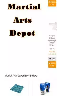 Play Martial-Arts-Depot