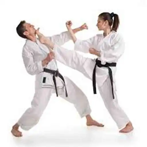 Play martial arts techniques APK