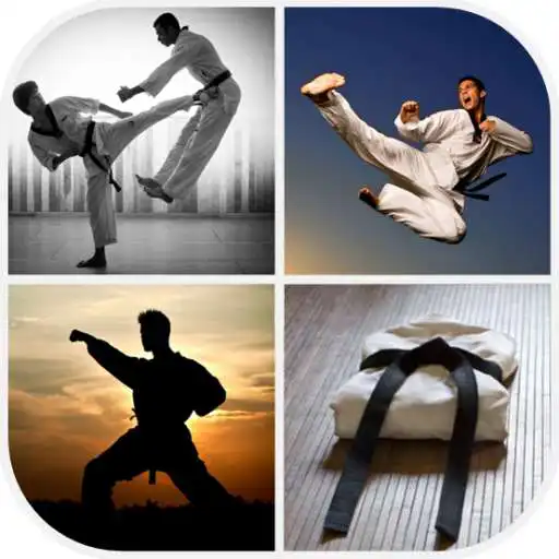 Play Martial Arts Wallpaper APK