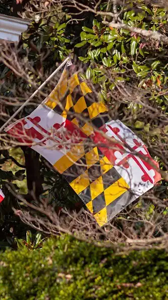 Play Maryland Wallpaper as an online game Maryland Wallpaper with UptoPlay