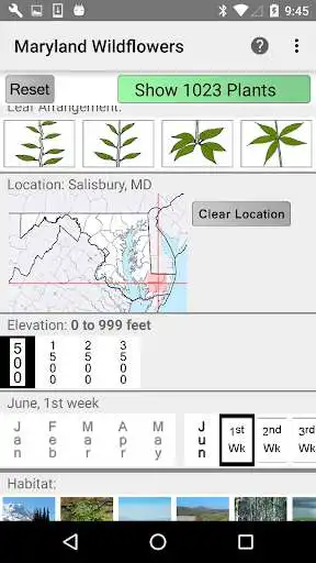 Play Maryland Wildflowers as an online game online Maryland Wildflowers with UptoPlay Play Maryland Wildflowers as an online game Maryland Wildflowers with UptoPlay