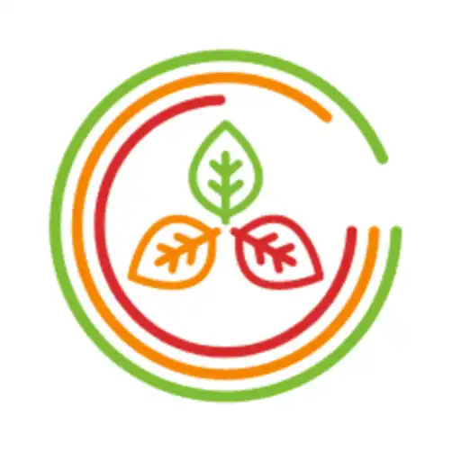 Play Masalo Online B2B shopping app APK