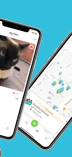 Play MascotApp