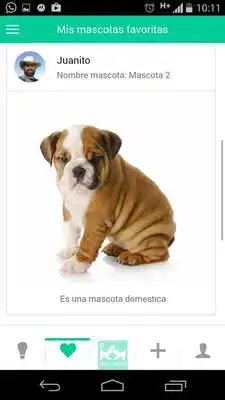 Play MascotApp