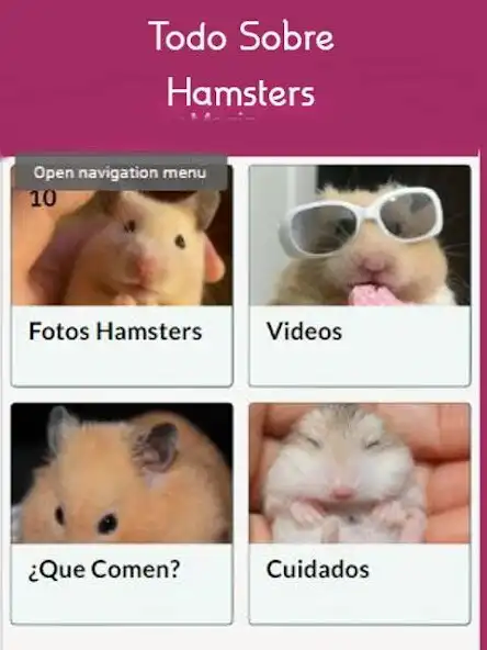 Play Mascotas Hamsters  and enjoy Mascotas Hamsters with UptoPlay