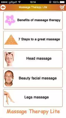 Play Massage Therapy Lite