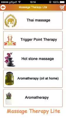Play Massage Therapy Lite