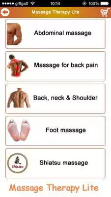 Play Massage Therapy Lite