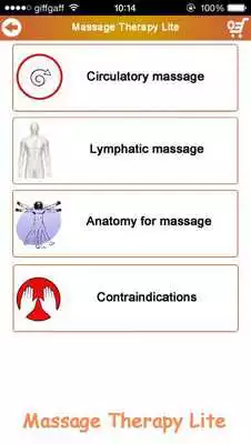 Play Massage Therapy Lite