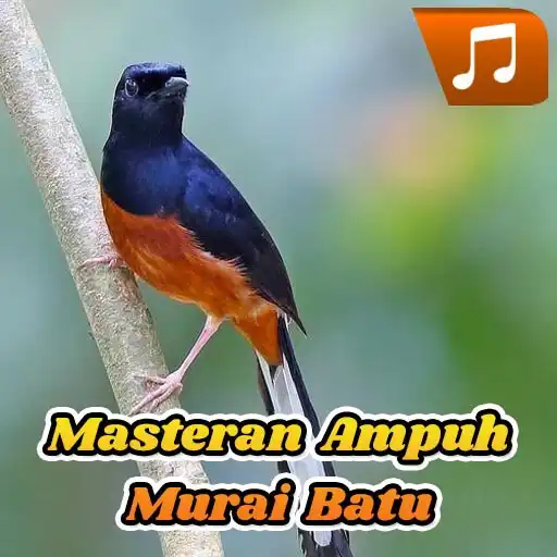 Play Masteran Ampuh Murai Batu APK