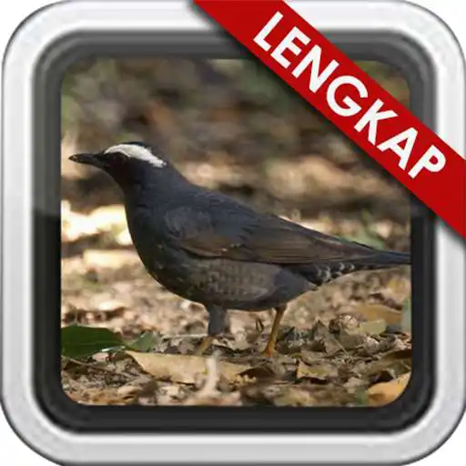 Run free android online Masteran Anis Hitam Lengkap APK Run free android online Masteran Anis Hitam Lengkap APK
