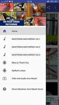 Play Masteran Anis Merah Gacor