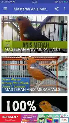 Play Masteran Anis Merah Gacor