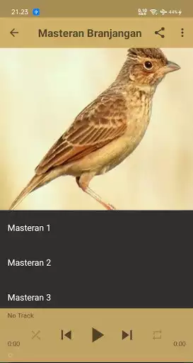 Play Masteran Branjangan Offline  and enjoy Masteran Branjangan Offline with UptoPlay