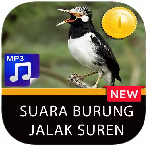 Play Masteran burung Jalak Suren APK Play Masteran burung Jalak Suren APK