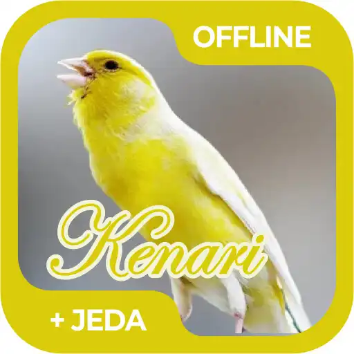Play Masteran Burung Kenari Offline APK Play Masteran Burung Kenari Offline APK
