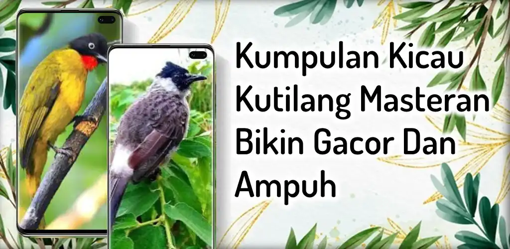 Play Masteran burung kutilang gacor  and enjoy Masteran burung kutilang gacor with UptoPlay