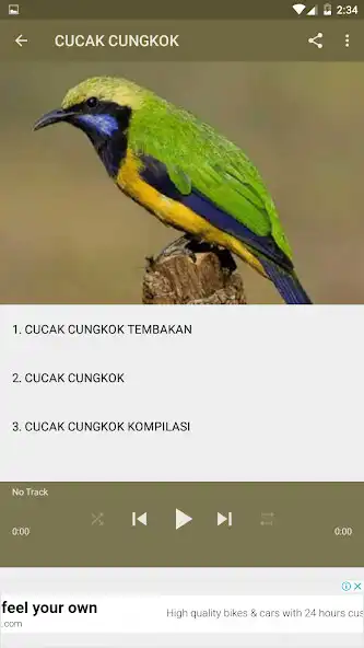 Play Masteran Burung as an online game Masteran Burung with UptoPlay