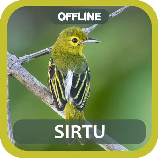 Play Masteran burung Sirtu gacor APK Play Masteran burung Sirtu gacor APK
