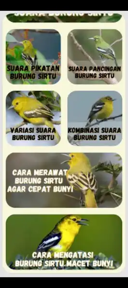 Play Masteran burung Sirtu gacor as an online game Masteran burung Sirtu gacor with UptoPlay