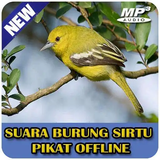 Play Masteran Burung Sirtu Pikat Offline APK Play Masteran Burung Sirtu Pikat Offline APK