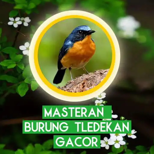 Play Masteran Burung Tledekan Gacor APK Play Masteran Burung Tledekan Gacor APK