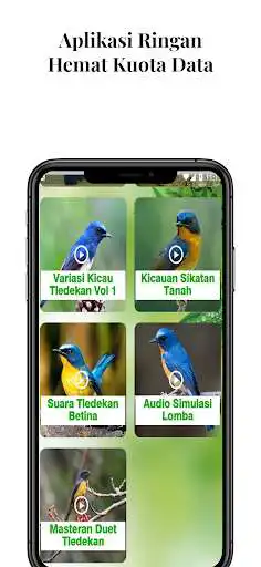 Play Masteran Burung Tledekan Gacor as an online game Masteran Burung Tledekan Gacor with UptoPlay