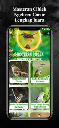 Play Masteran Ciblek Ngebren Gacor