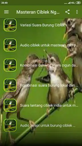 Play Masteran Ciblek Ngebren  and enjoy Masteran Ciblek Ngebren with UptoPlay