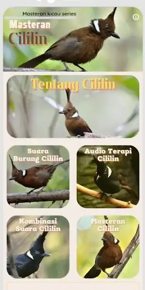 Play Masteran Cililin Juara Offline as an online game Masteran Cililin Juara Offline with UptoPlay