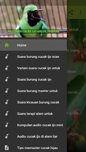 Play Masteran Cucak Ijo Gacor  and enjoy Masteran Cucak Ijo Gacor with UptoPlay