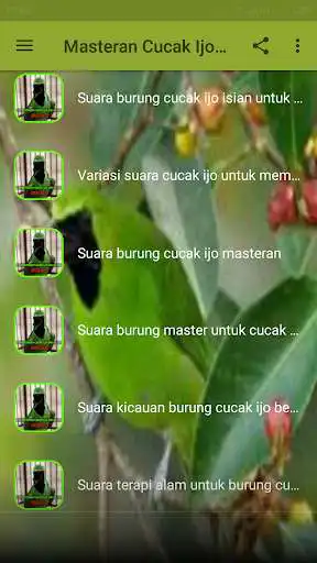 Play Masteran Cucak Ijo Gacor as an online game Masteran Cucak Ijo Gacor with UptoPlay
