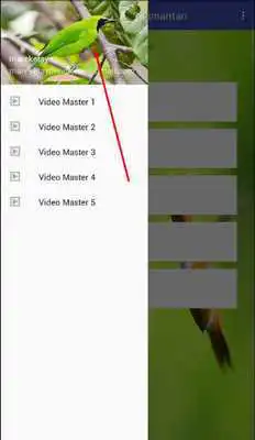 Play Masteran Cucak Ijo Kalimantan