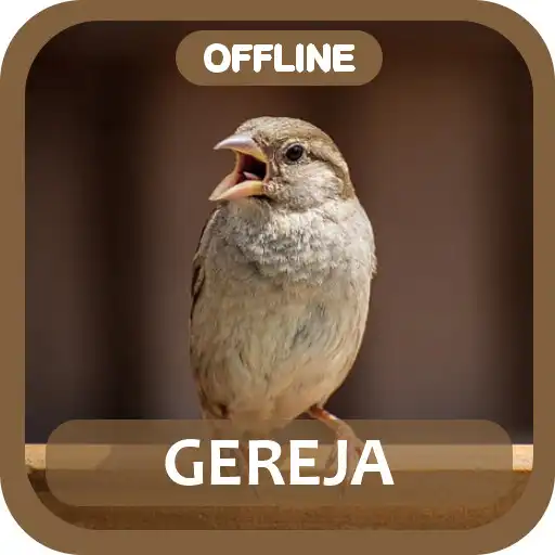 Play Masteran Gereja Tarung APK