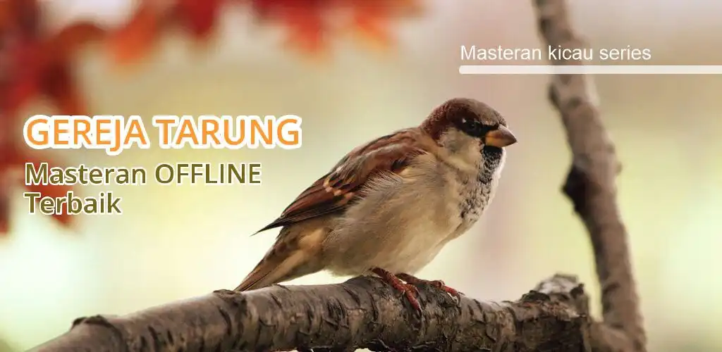 Play Masteran Gereja Tarung  and enjoy Masteran Gereja Tarung with UptoPlay